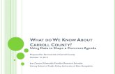 Data Presentation for ServiceLink of Carroll County by Jess Carson