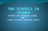 Schools In Tsumeb and Tsumeb TRC