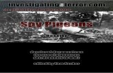 Spy Pigeons dossier