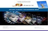Salary Survey Volgograd