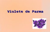 Violete De Parma