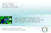 Feature Subset Selection for Automatically Classifying Anuran Calls Using Sensor Networks