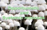Opportunistic & systemic mycoses tabulated summary