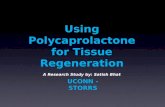Using Polycaprolactone for Tissue Regeneration