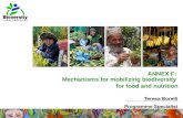 BFN Project - Mechanisms for mobilizing Biodiversity for Food and Nutrition
