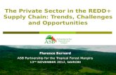 The Private Sector in the REDD+Supply Chain: Trends, Challenges and Opportunities