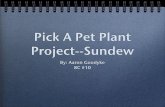 Pick A Pet Plant Project 2008