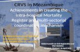 Session 4A - Mozambique