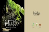 Visions of-mulu-preview