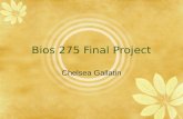 BIOS 275 Final Project