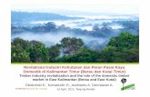 Timber industry revitalisation and the role of the domestic timber market in East Kalimantan (Berau and East Kutai)