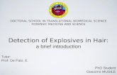Detection of explosives in hair: a brief introduction