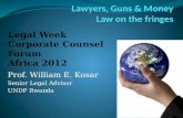 Prof William Kosar Lawyers Guns & Money Africa 2012