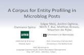 A Corpus for Entity Profiling in Microblog Posts