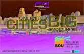 Business Opportunity Unlimited   2011