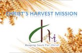 Christ's harvest mission activities-India poverty-Poor help