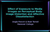 Effect Of Exposure To Media Images On Perceptual Body Image Distortion And Affective Dissatisfaction