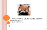 Unit One Classification Project (Simplified 3 Minute Version)