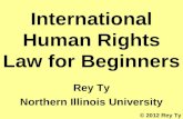 2012 Rey Ty International Human Rights Law for Beginners. DeKalb, IL: Northern Illinois University.