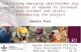 Catalysing emerging smallholder pig value chains in Uganda to increase rural incomes and assets: Introducing the project
