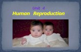Human Reproduction. Ainoa Álvarez Durán