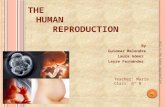 The human reproduction sound