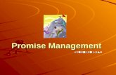 Promise Management