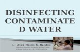Sci. proj.  disinfecting contaminated water