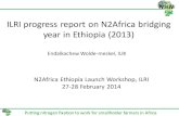 ILRI progress report on N2Africa bridging year in Ethiopia (2013)