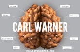 Carl Warner's foodscapes