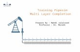 Multi layer completion (Pipesim)