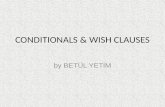 Conditionals & Wish Clauses
