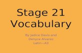 Stage 21 Vocabulary Final No English