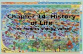 Holt Modern Biology Chapter 14 Vocabulary--History of Life