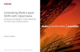 Unlocking Multi-layer SDN with Openness
