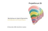Spiral dynamics stockholm 19 november 2009