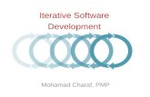 Iterative software development