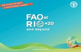 FAO at RIO+20 and beyond
