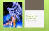 Digestive systems 8