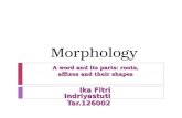 Morphology: A WORDS AND ITS APARTS