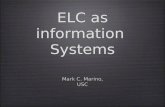 Elit As Information System