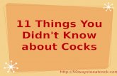 11 Things You Didn't Know about Cocks
