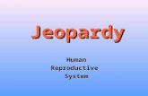 Jeopardy reproductive system
