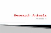 Research Animals