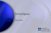 Smallpox monkeypox