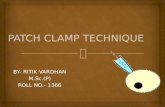 Patch clamp technique