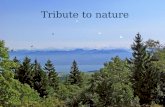 Tribute to nature 02 garamond