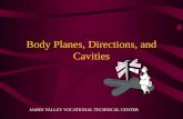 Body planes-directions-and-cavities unit 2