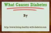 What Causes Diabetes