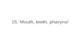 15. Mouth, teeth, pharynx/ Fig. 16.1